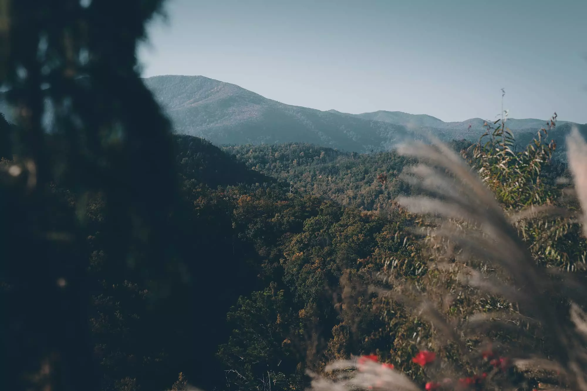 explorethesmokymountains