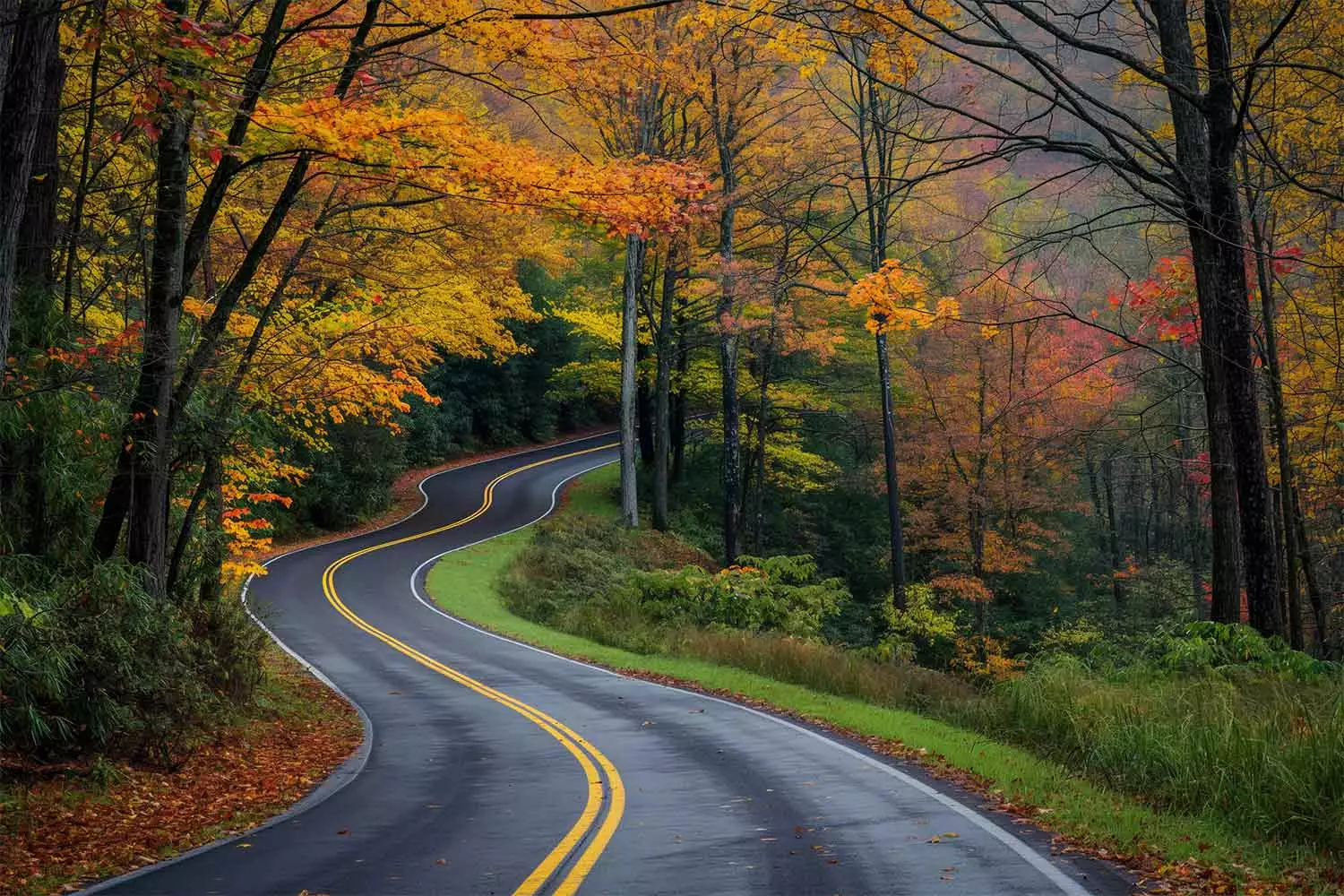 Newfound Gap Road in the Great Smoky Mountains National Park.