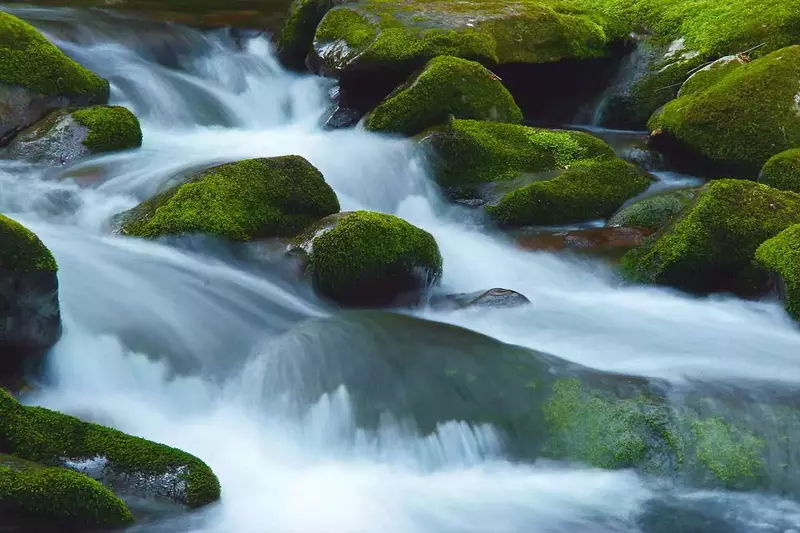 Roaring Fork Motor Nature Trail in the Smoky Mountains.