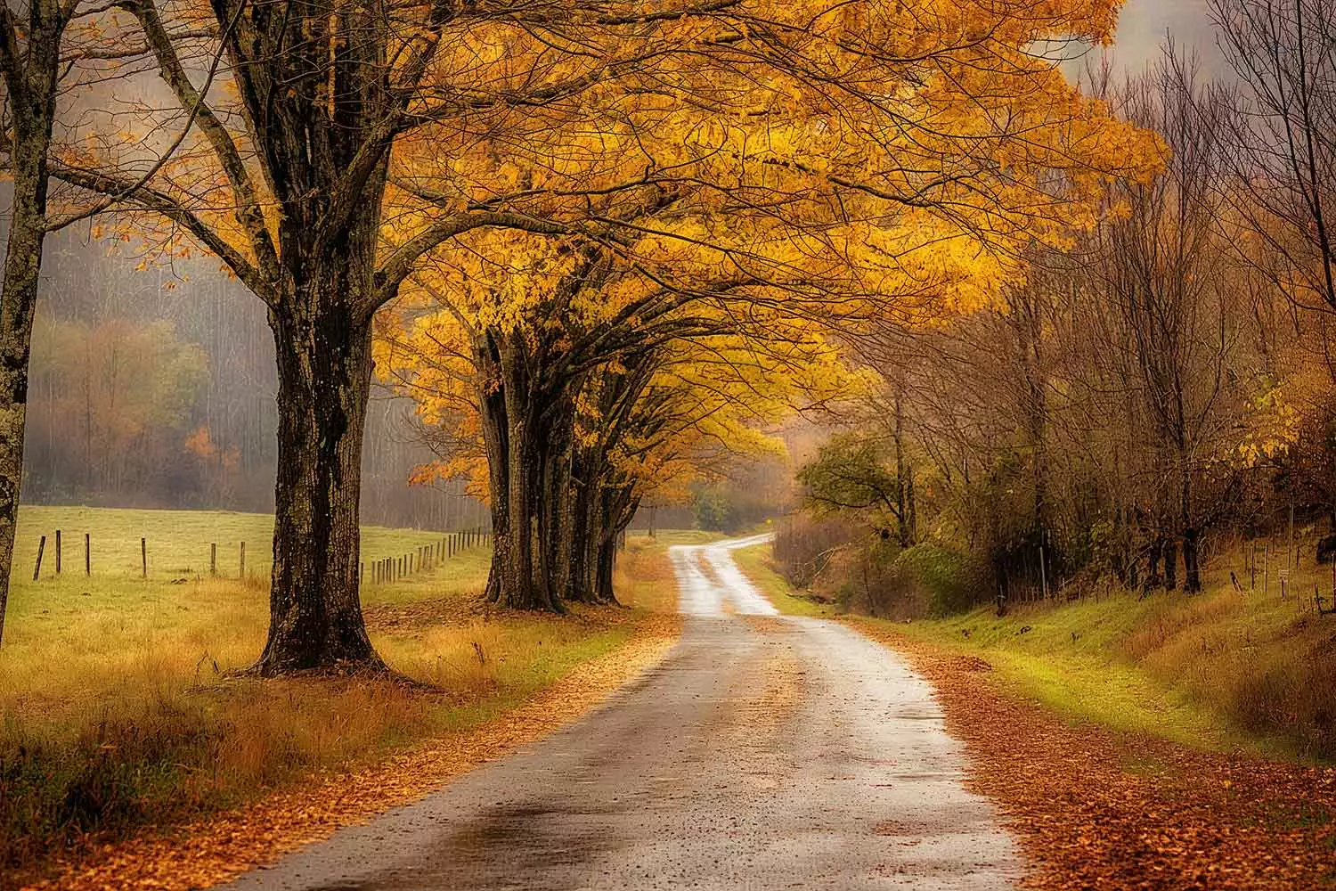 A view of Cades Cove in the Smoky Mountains.