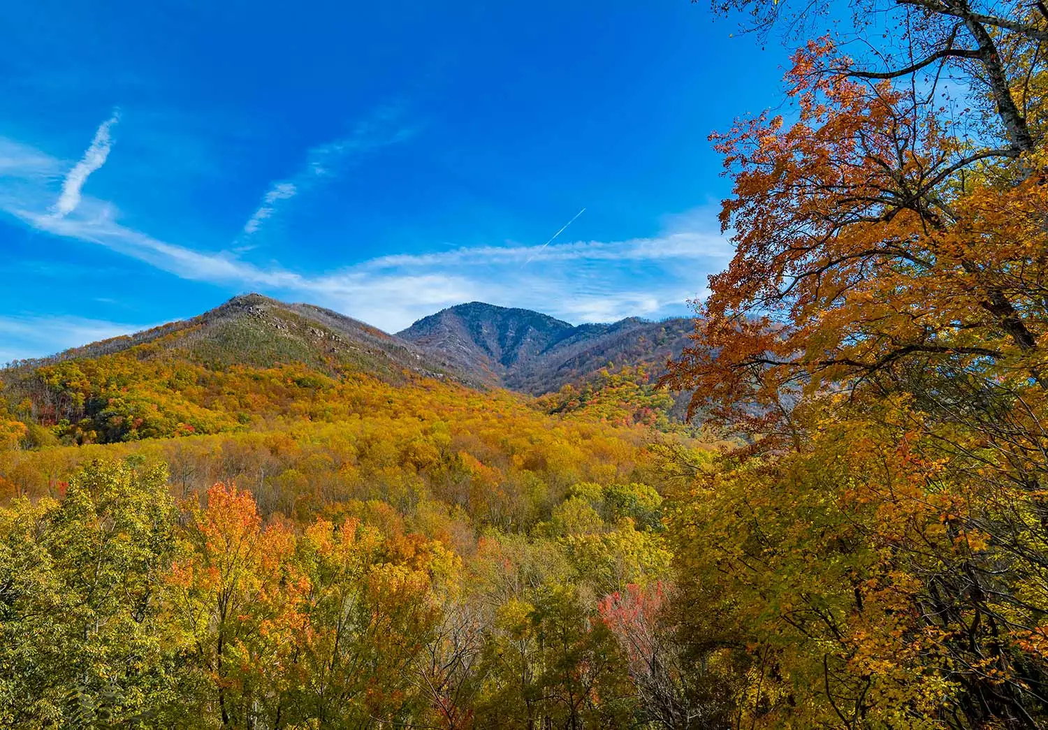 The view from Laurel Falls Trail in the Smoky Mountains