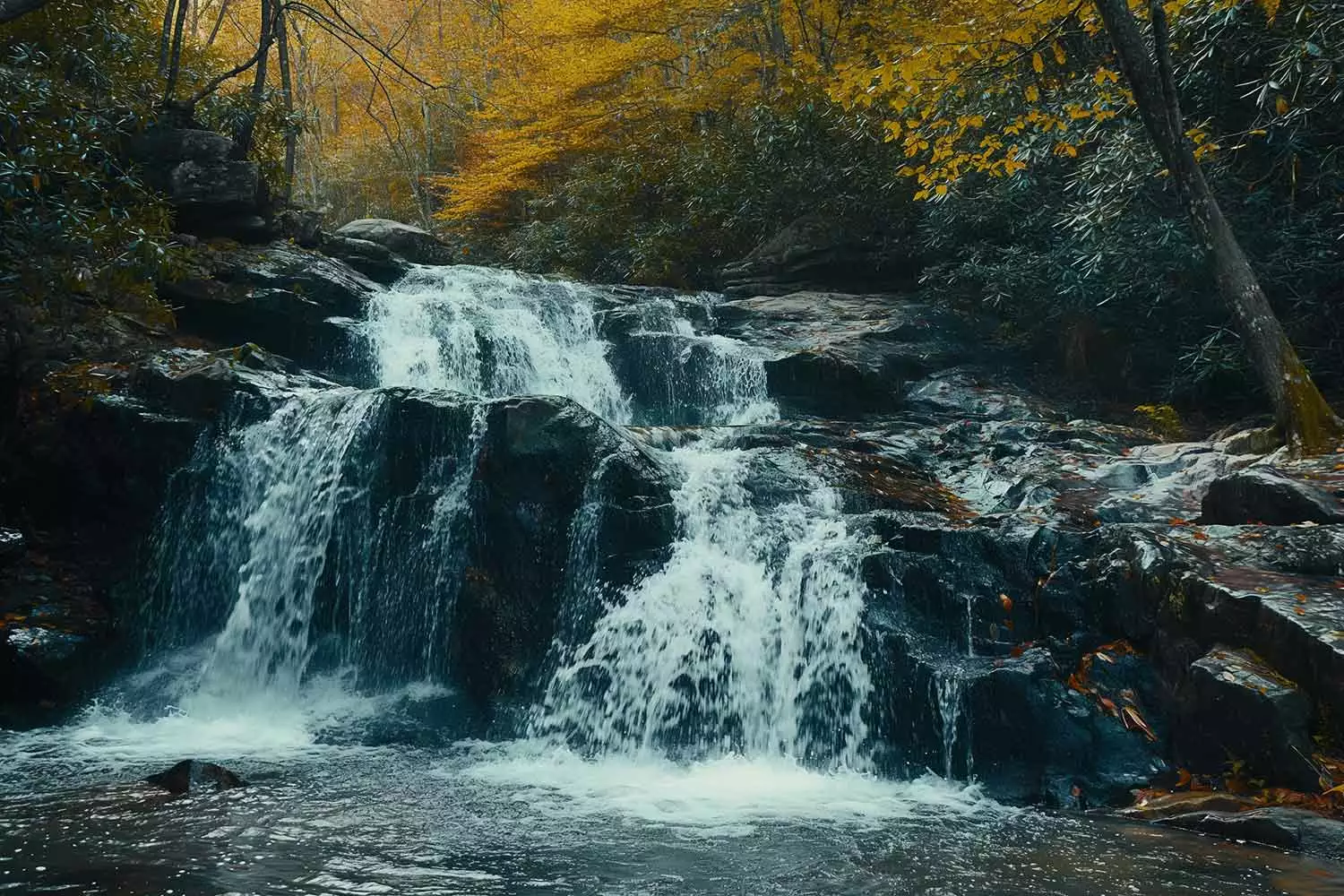 A waterfall in the Great Smoky Mountain National Park in East Tennessee.