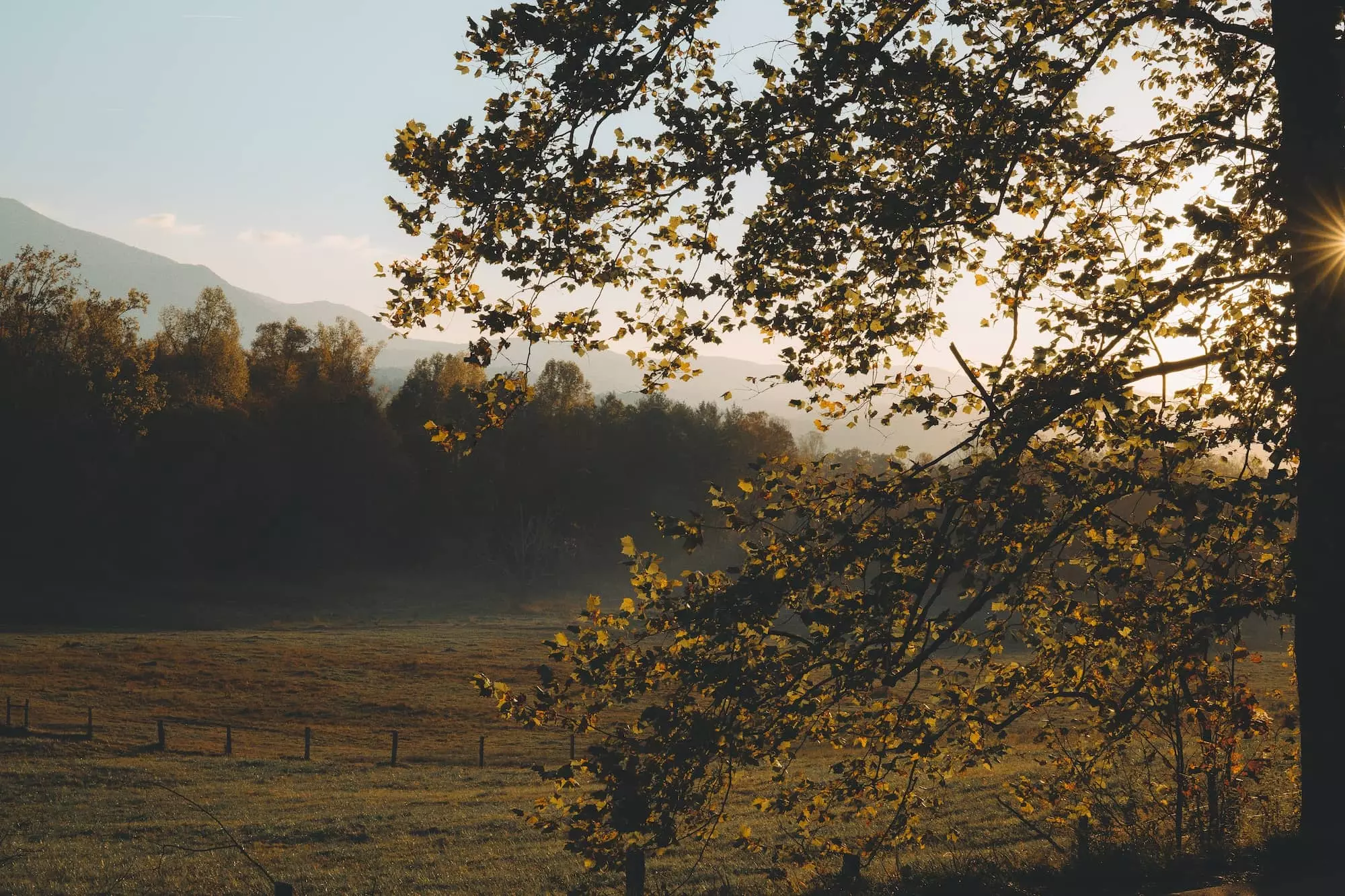 cades-cove