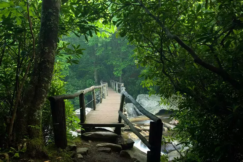 A walkway bridge on the Chimney Tops trail in the Great Smoky Mountain National Park.