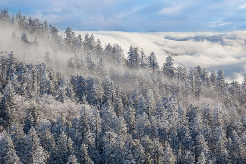 winter in the smoky mountains