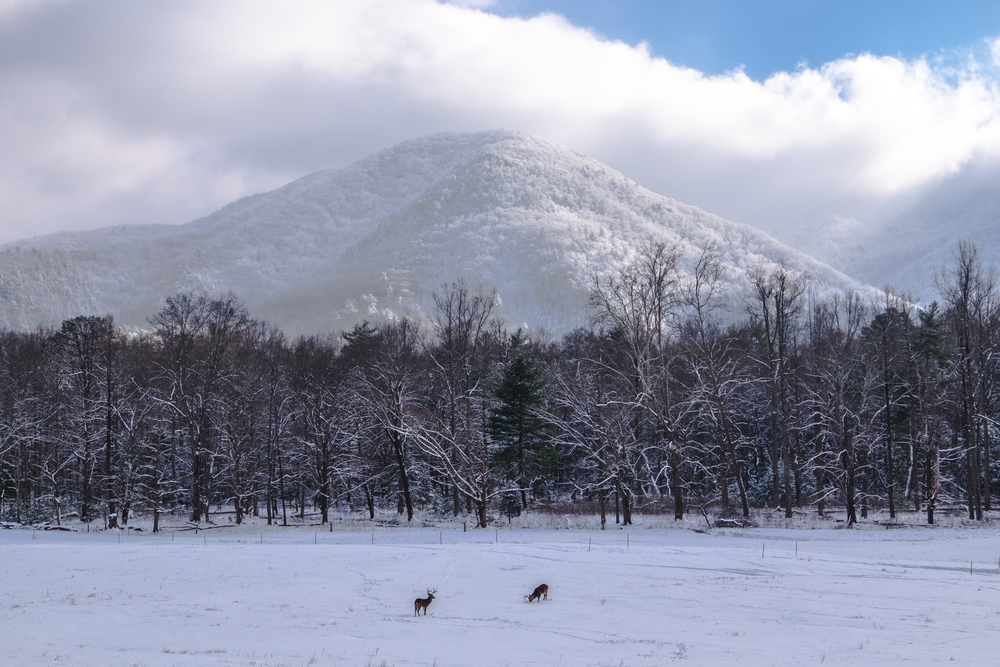 cades cove in winter