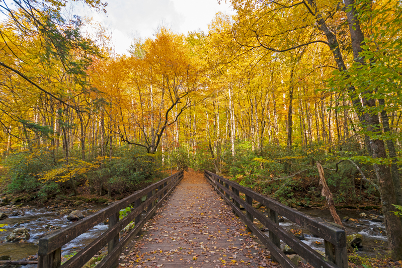 kephart prong trail - one of the best hikes in the Smokies