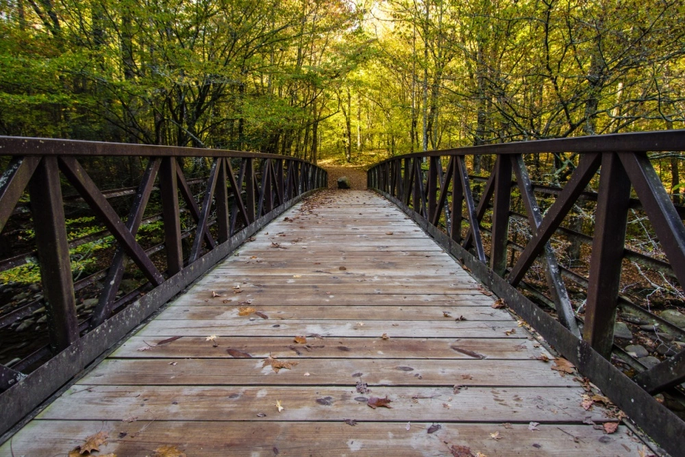 the gatlinburg trail - one of the best hikes in the Smokies