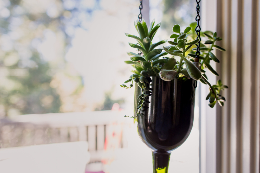 planters