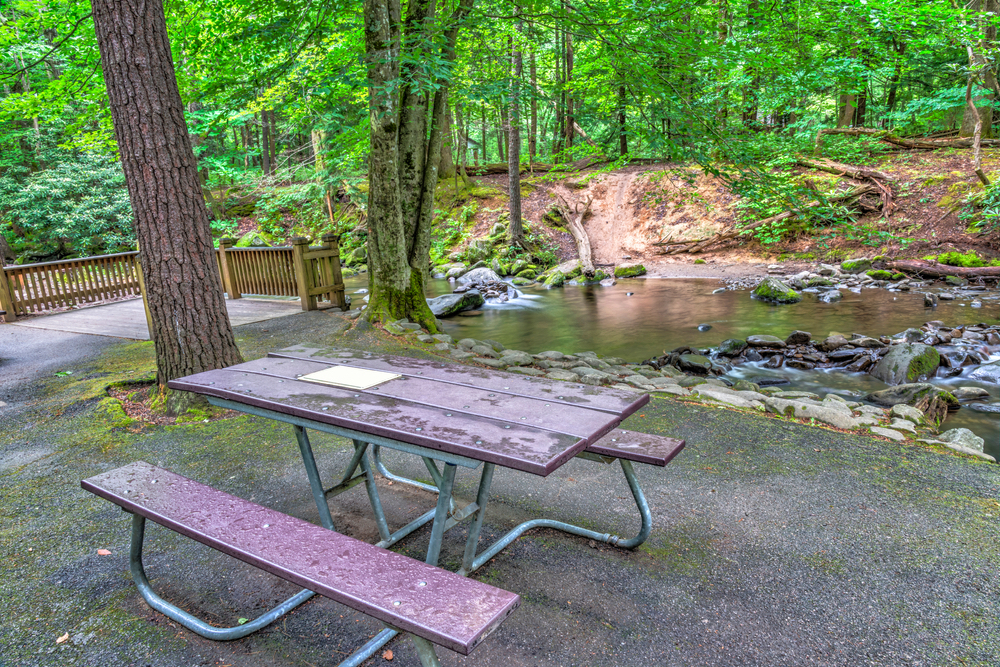 picnicarea