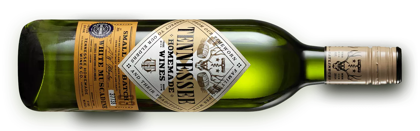whitemuscadine