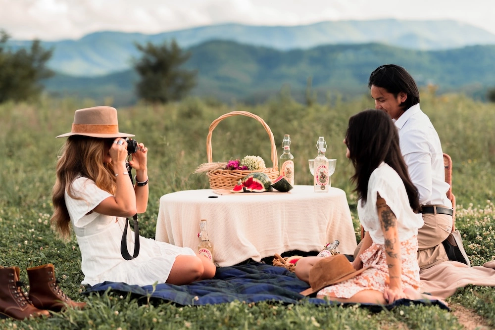 picnic with Tennessee wines