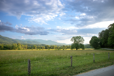 visiting the national park is one of the best wine and wellness Smokies activities