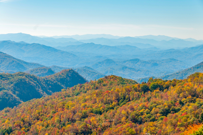 smokies fall foliage
