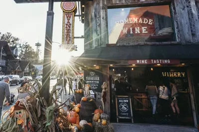 tennessee homemade wines in fall