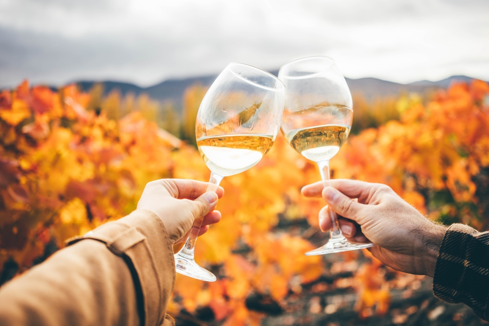 wine and smokies fall foliage