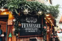 THW during winter in gatlinburg