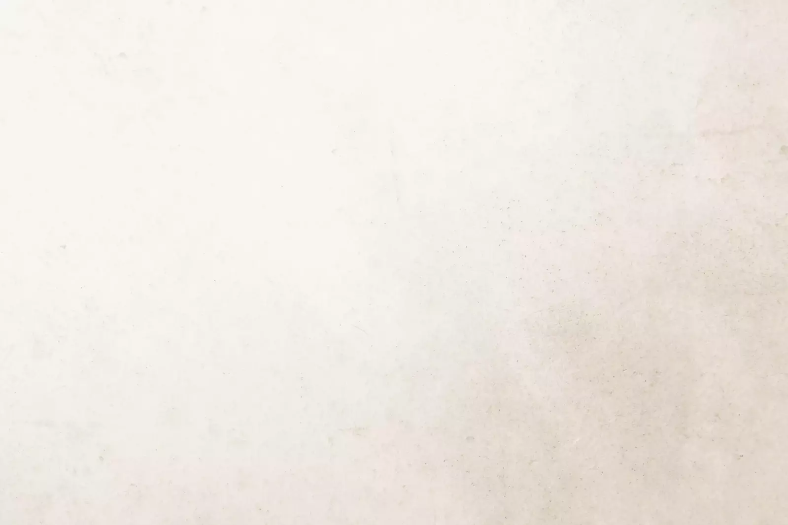 shutterstock_2284287809_193KB