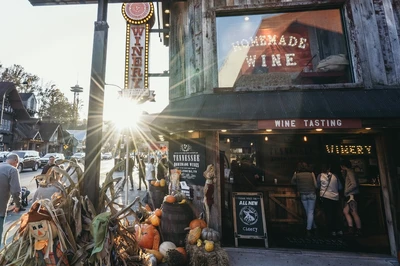 wine lovers love tennessee homemade wines