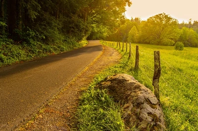cades cove loop is one of the top scenic drives in the smokies