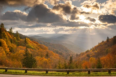 newfound gap road is one of the top scenic drives in the smokies
